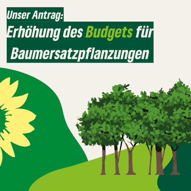 Budget für Baumersatzpflanzungen viel zu gering!